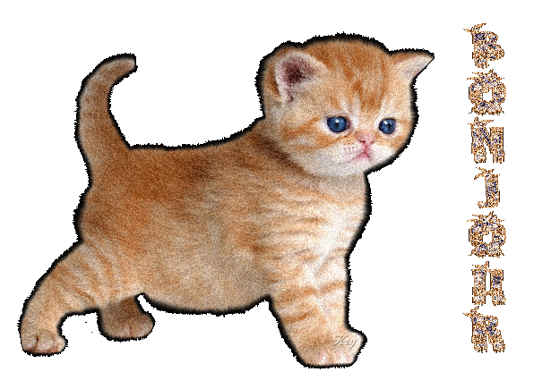 bonjour à tous mes ami(e)s